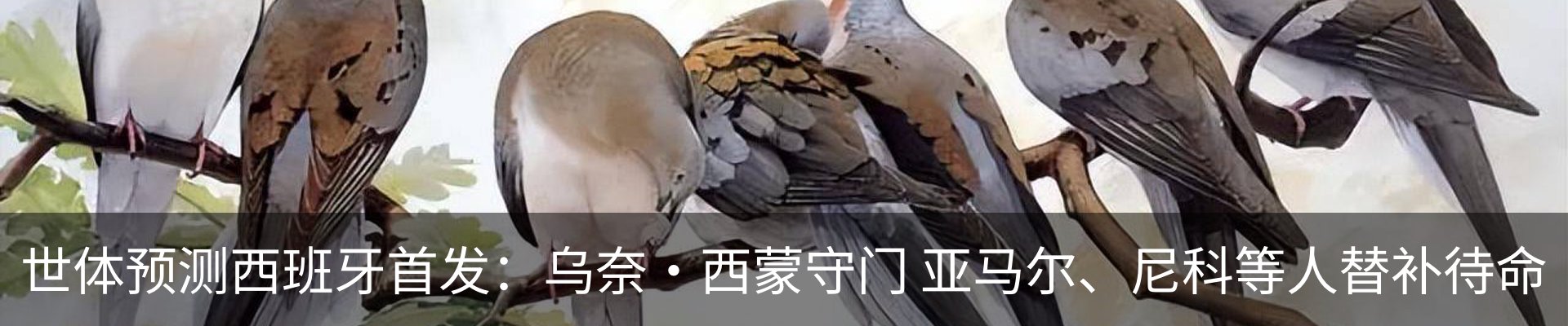 最新动态