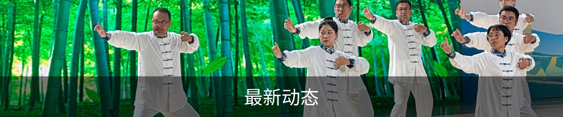 最新动态