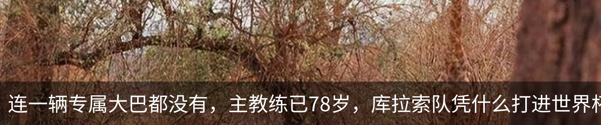 最新动态